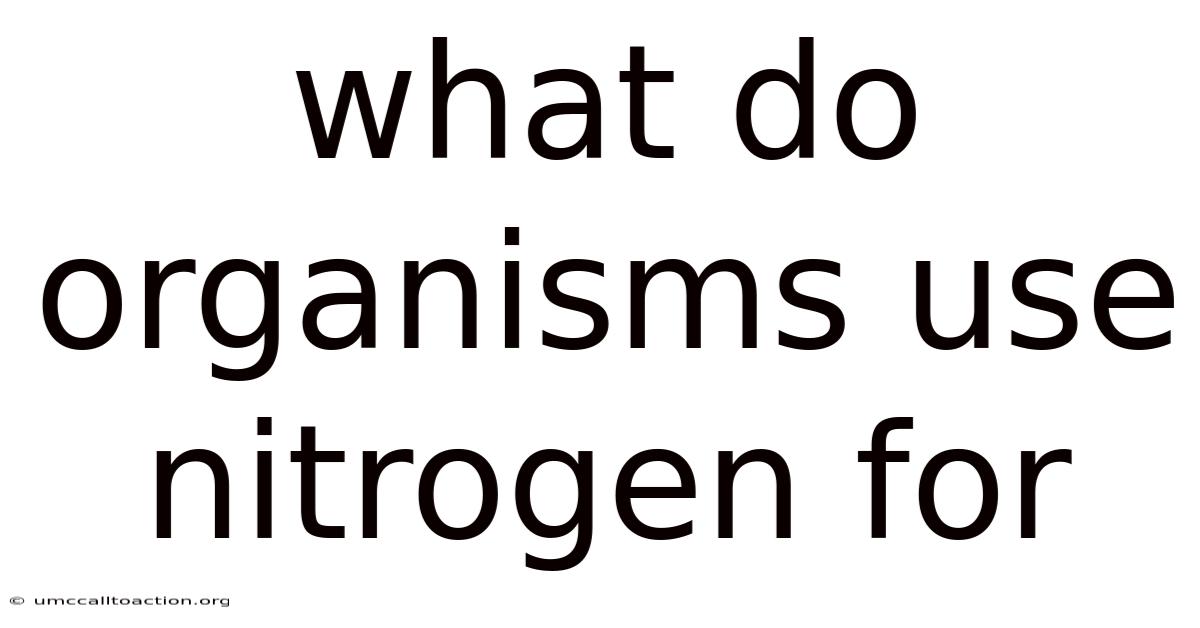 What Do Organisms Use Nitrogen For