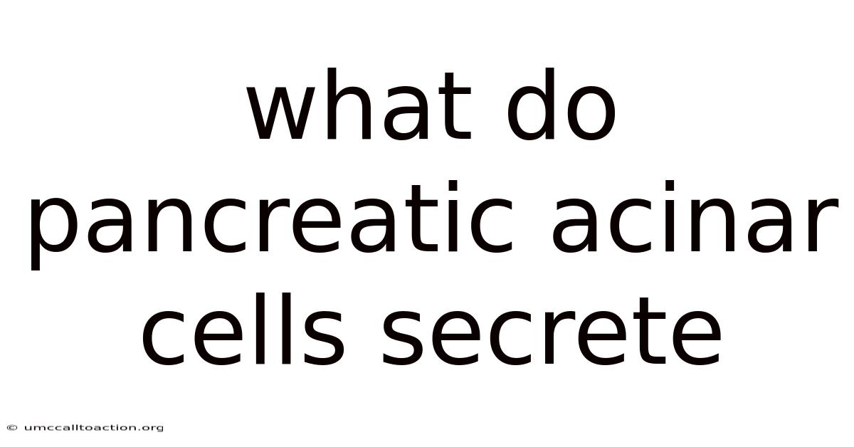 What Do Pancreatic Acinar Cells Secrete