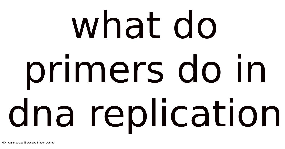 What Do Primers Do In Dna Replication