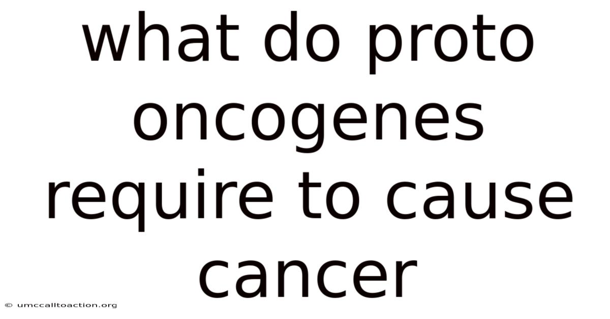 What Do Proto Oncogenes Require To Cause Cancer