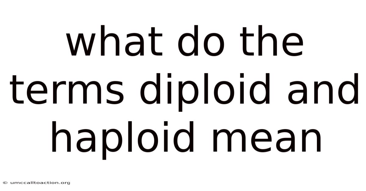What Do The Terms Diploid And Haploid Mean