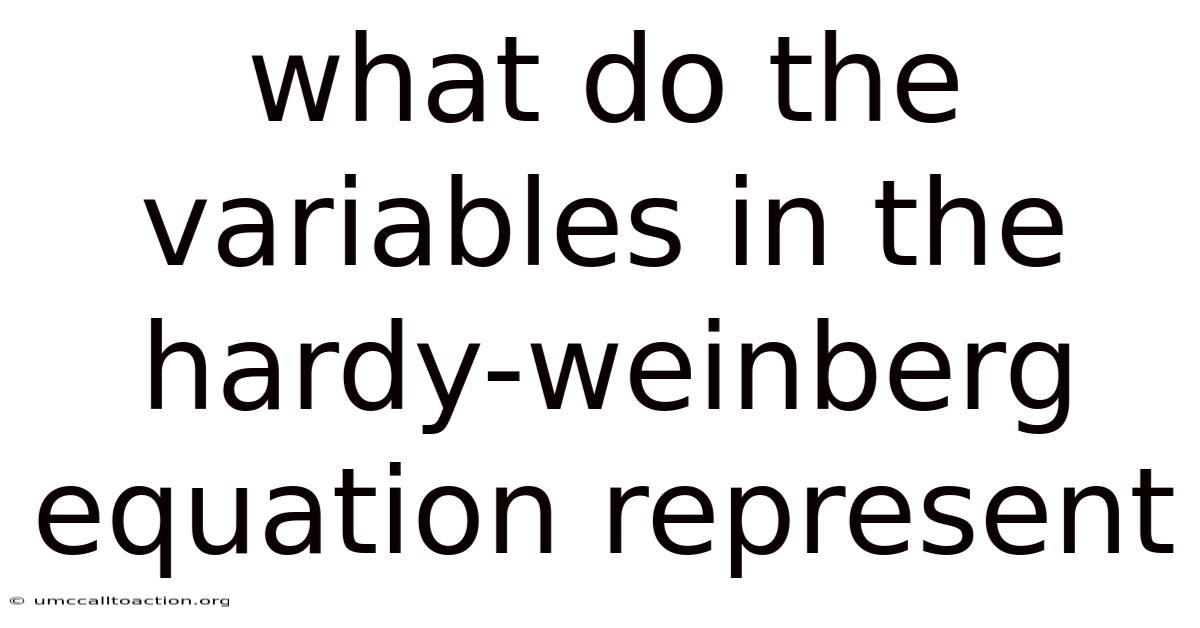 What Do The Variables In The Hardy-weinberg Equation Represent