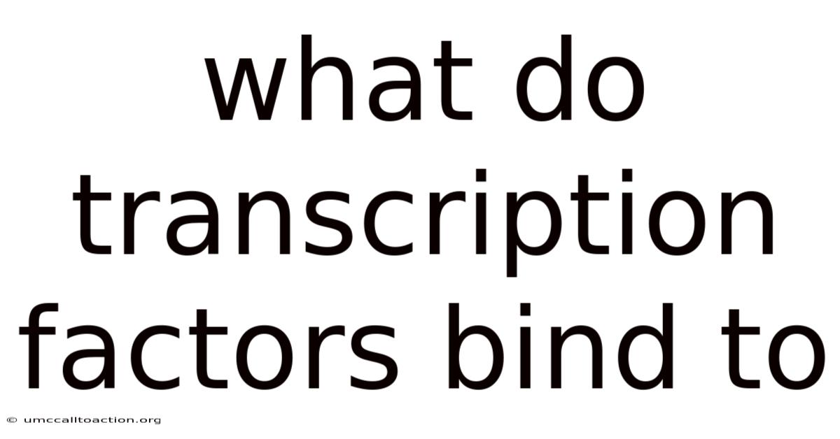 What Do Transcription Factors Bind To