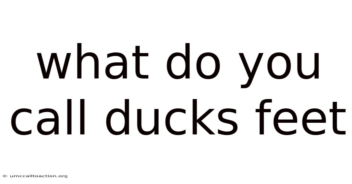 What Do You Call Ducks Feet