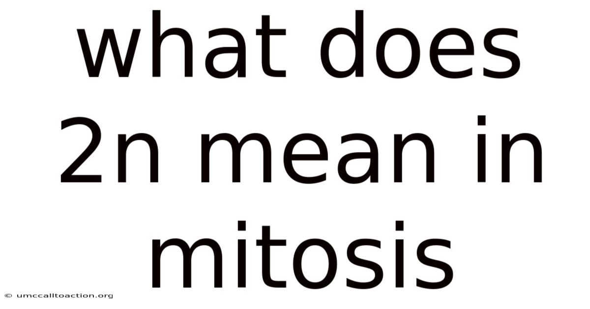 What Does 2n Mean In Mitosis