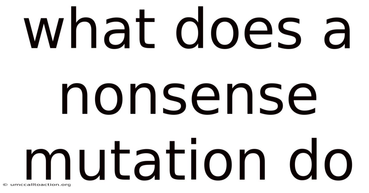 What Does A Nonsense Mutation Do