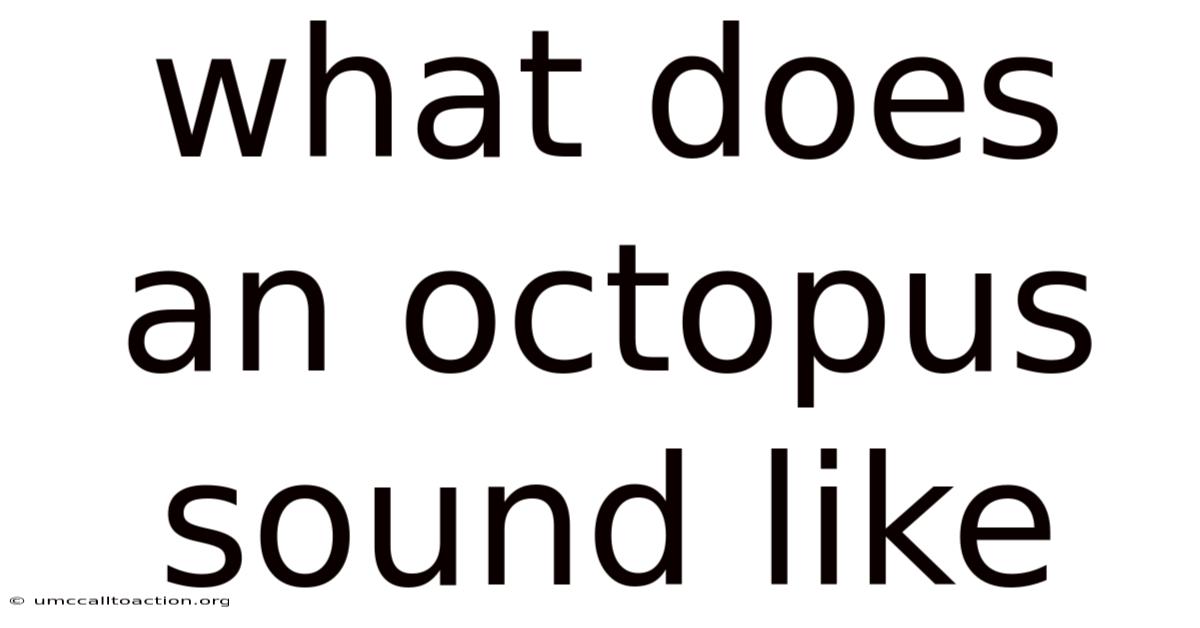 What Does An Octopus Sound Like