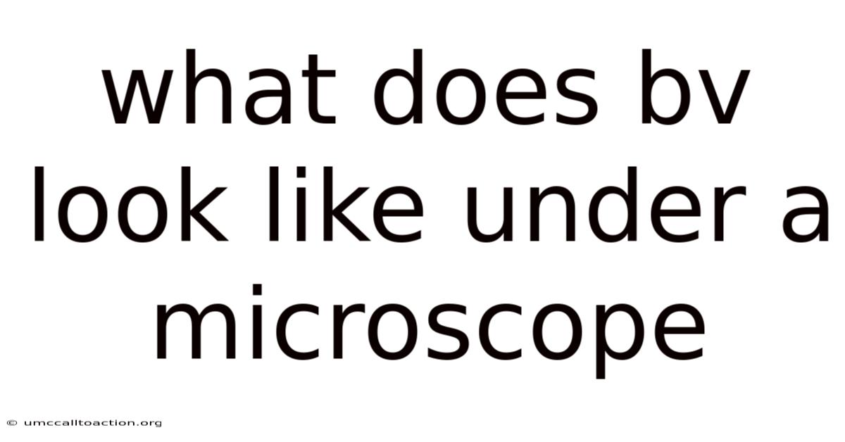 What Does Bv Look Like Under A Microscope
