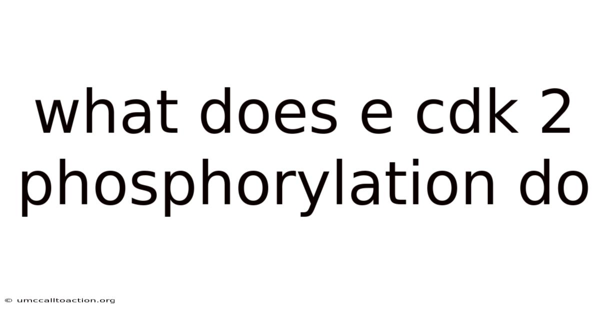 What Does E Cdk 2 Phosphorylation Do