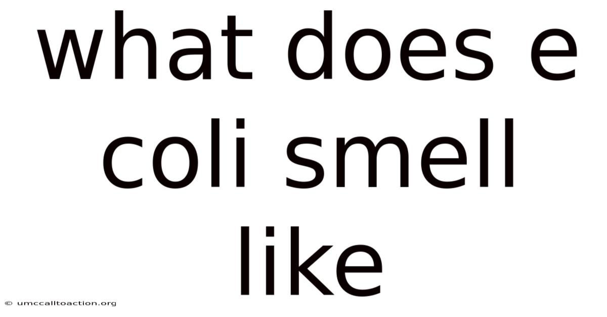 What Does E Coli Smell Like