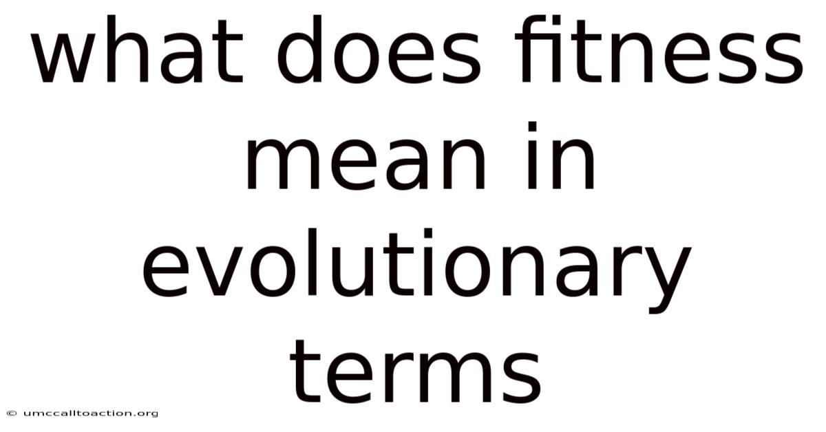 What Does Fitness Mean In Evolutionary Terms