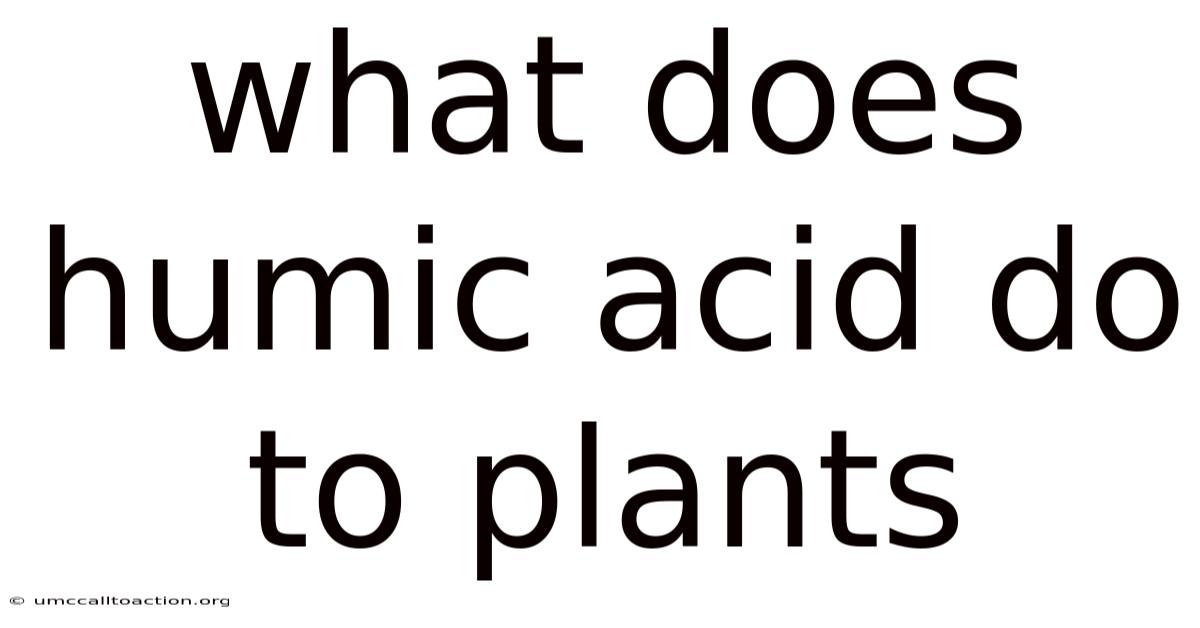 What Does Humic Acid Do To Plants