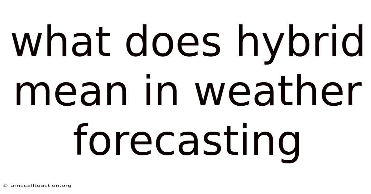 What Does Hybrid Mean In Weather Forecasting
