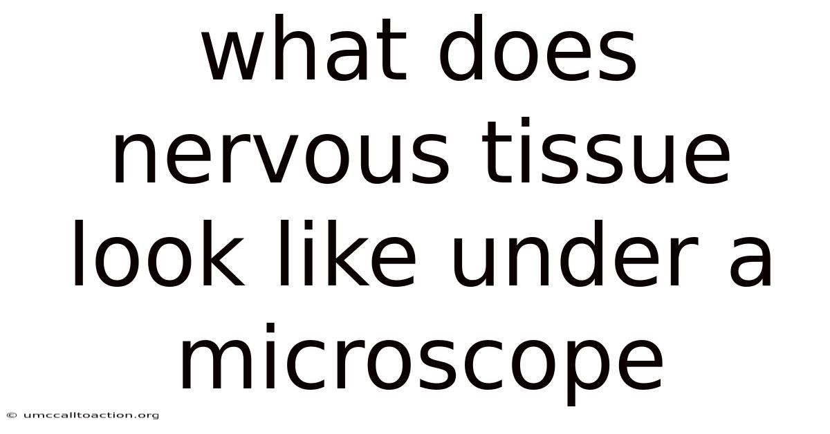 What Does Nervous Tissue Look Like Under A Microscope