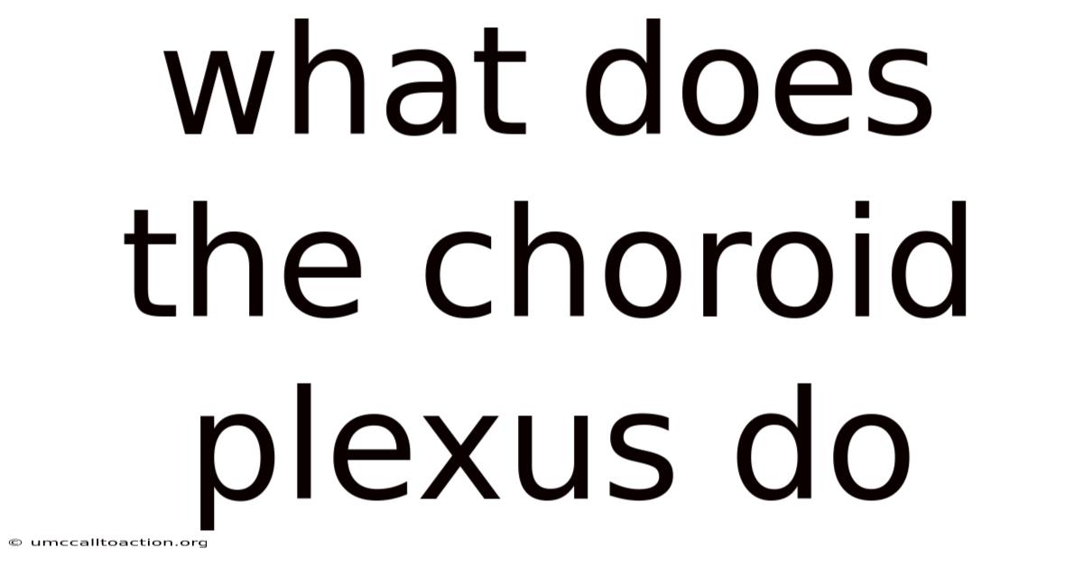 What Does The Choroid Plexus Do