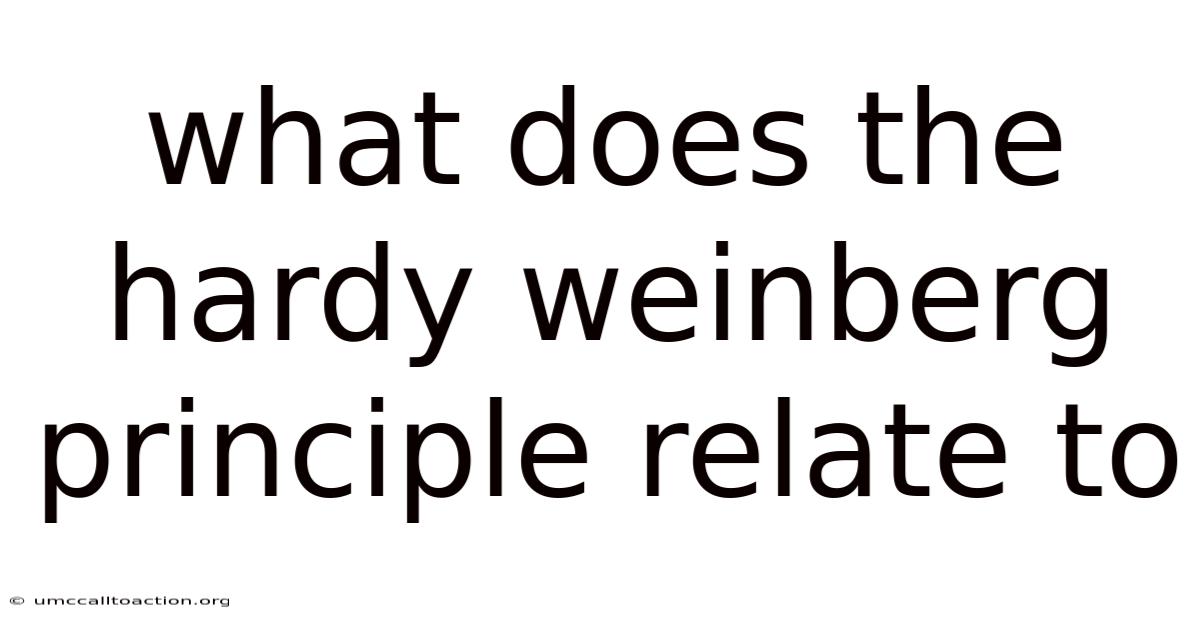 What Does The Hardy Weinberg Principle Relate To