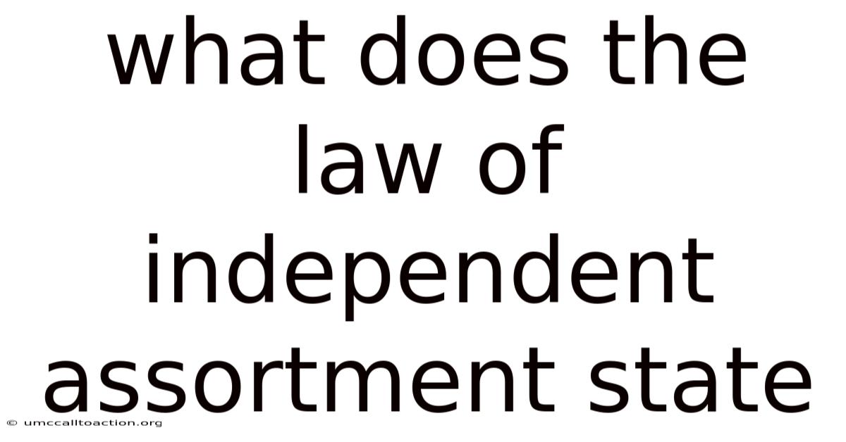 What Does The Law Of Independent Assortment State