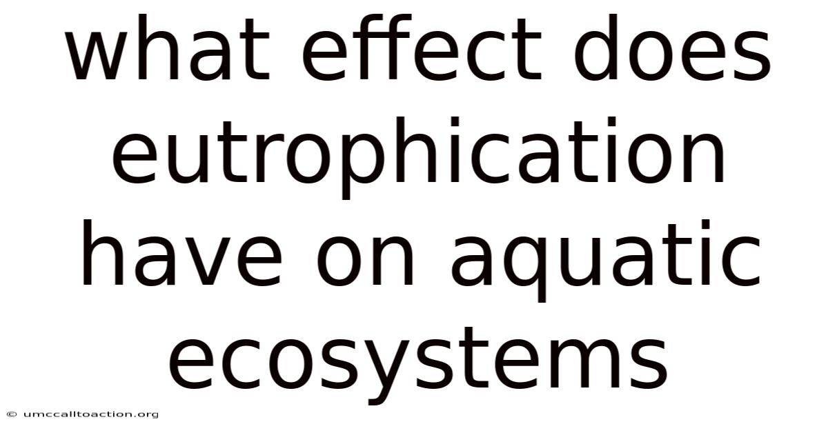 What Effect Does Eutrophication Have On Aquatic Ecosystems