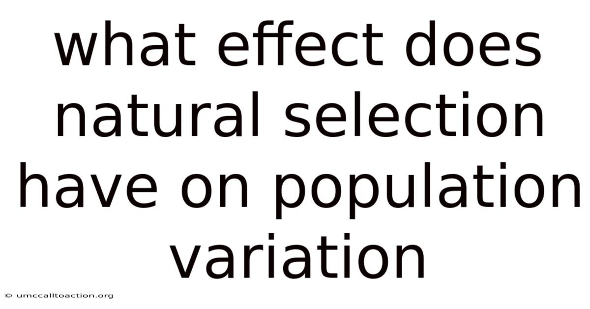 What Effect Does Natural Selection Have On Population Variation