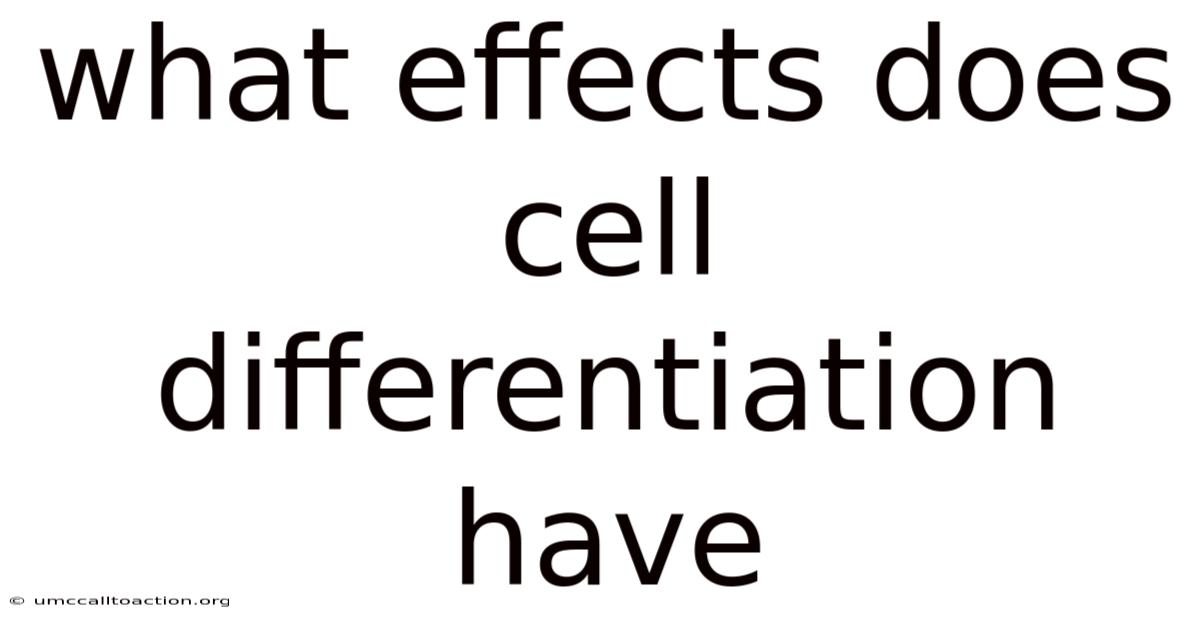 What Effects Does Cell Differentiation Have