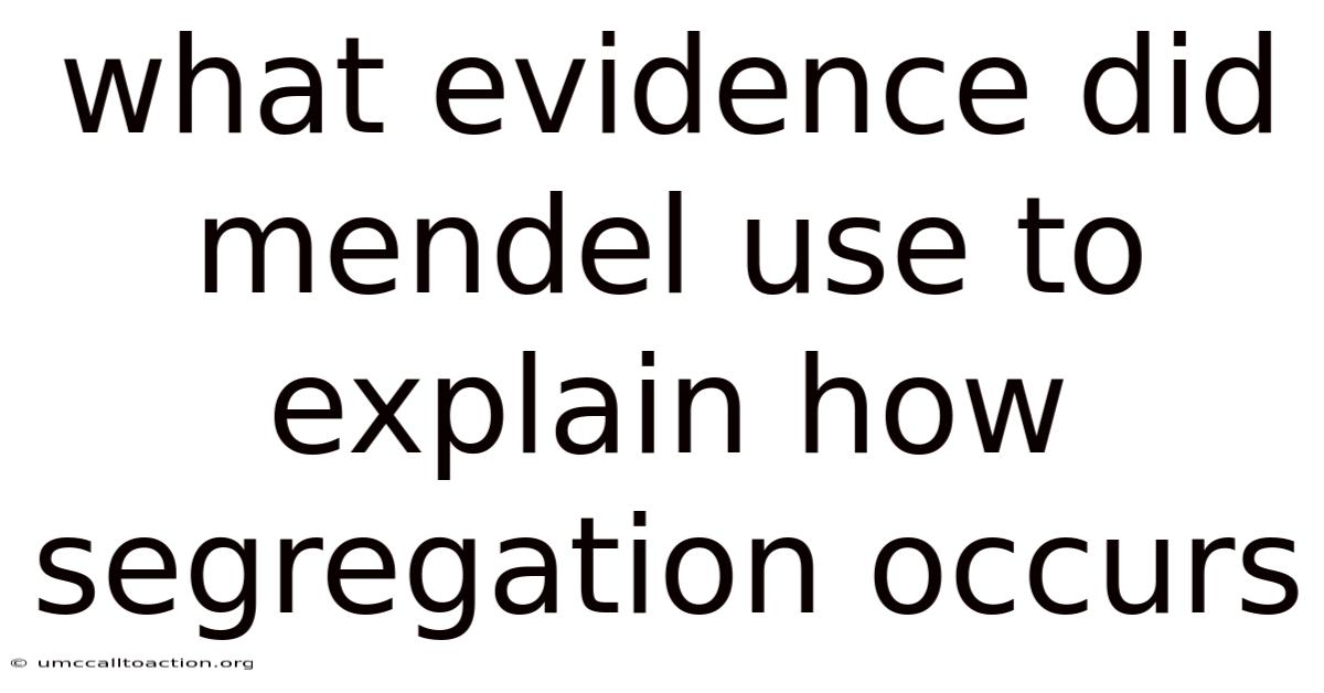 What Evidence Did Mendel Use To Explain How Segregation Occurs