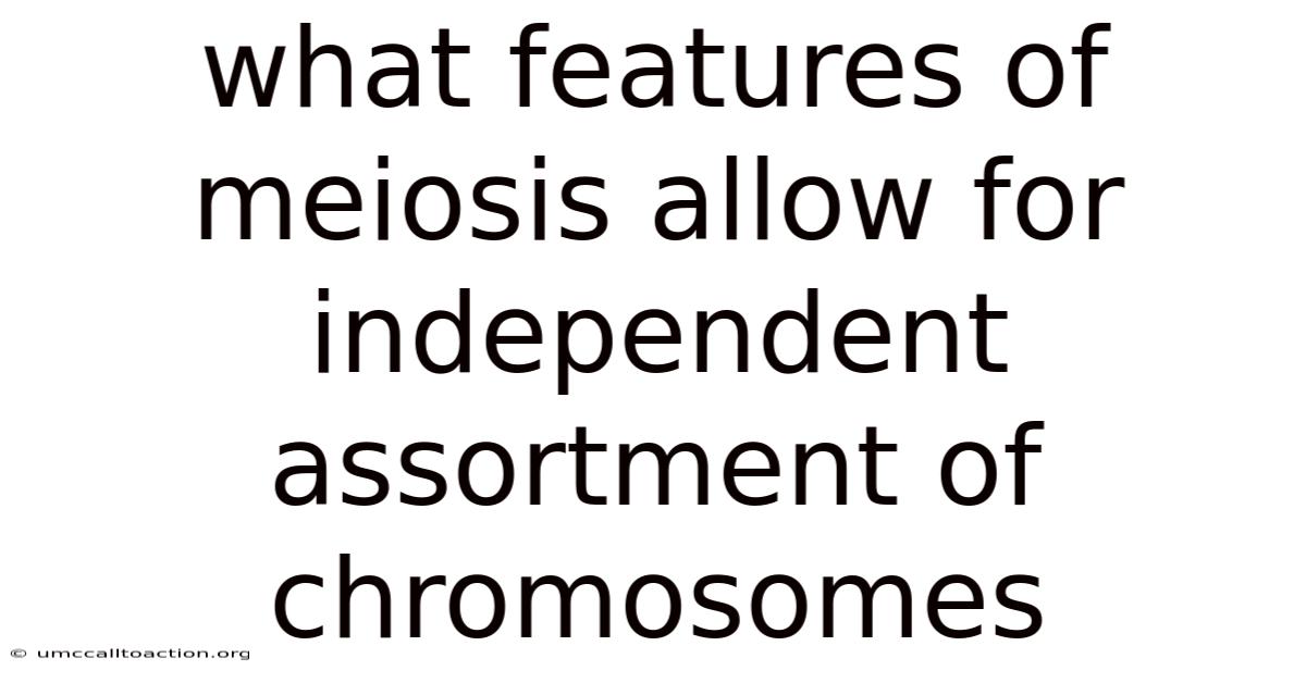 What Features Of Meiosis Allow For Independent Assortment Of Chromosomes