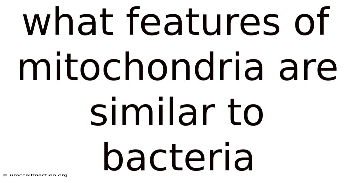 What Features Of Mitochondria Are Similar To Bacteria