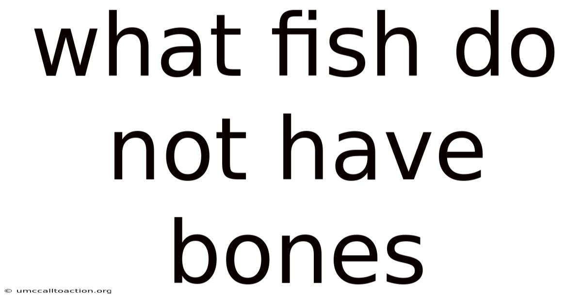 What Fish Do Not Have Bones