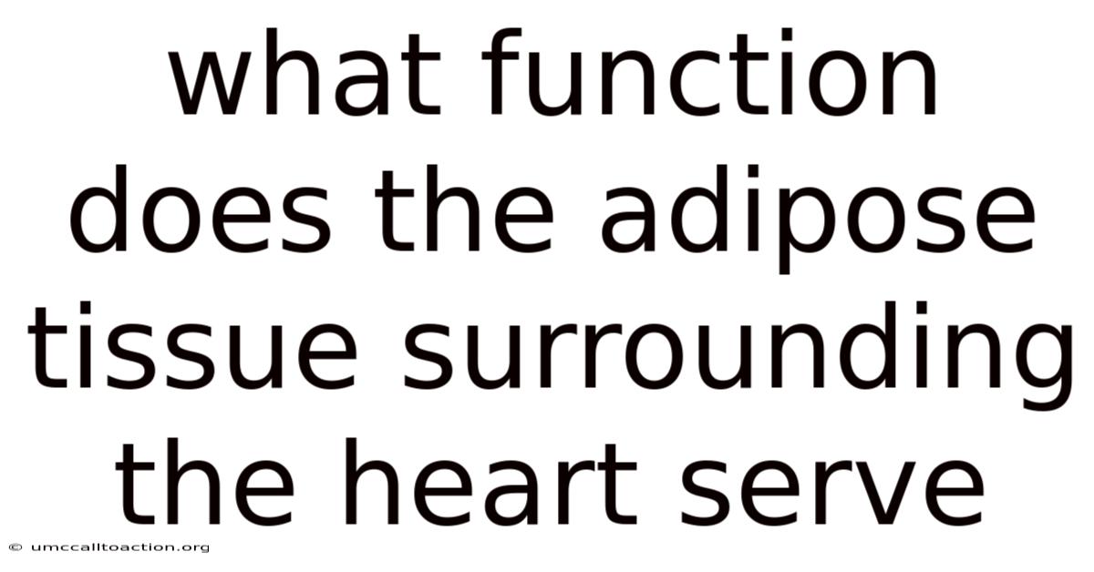What Function Does The Adipose Tissue Surrounding The Heart Serve