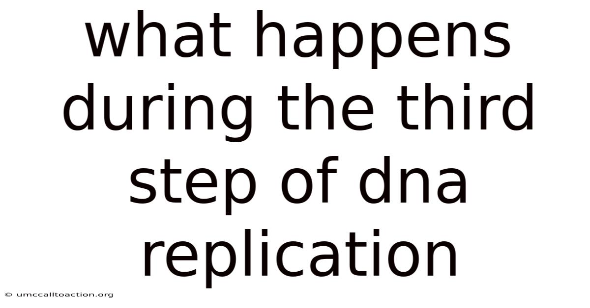 What Happens During The Third Step Of Dna Replication