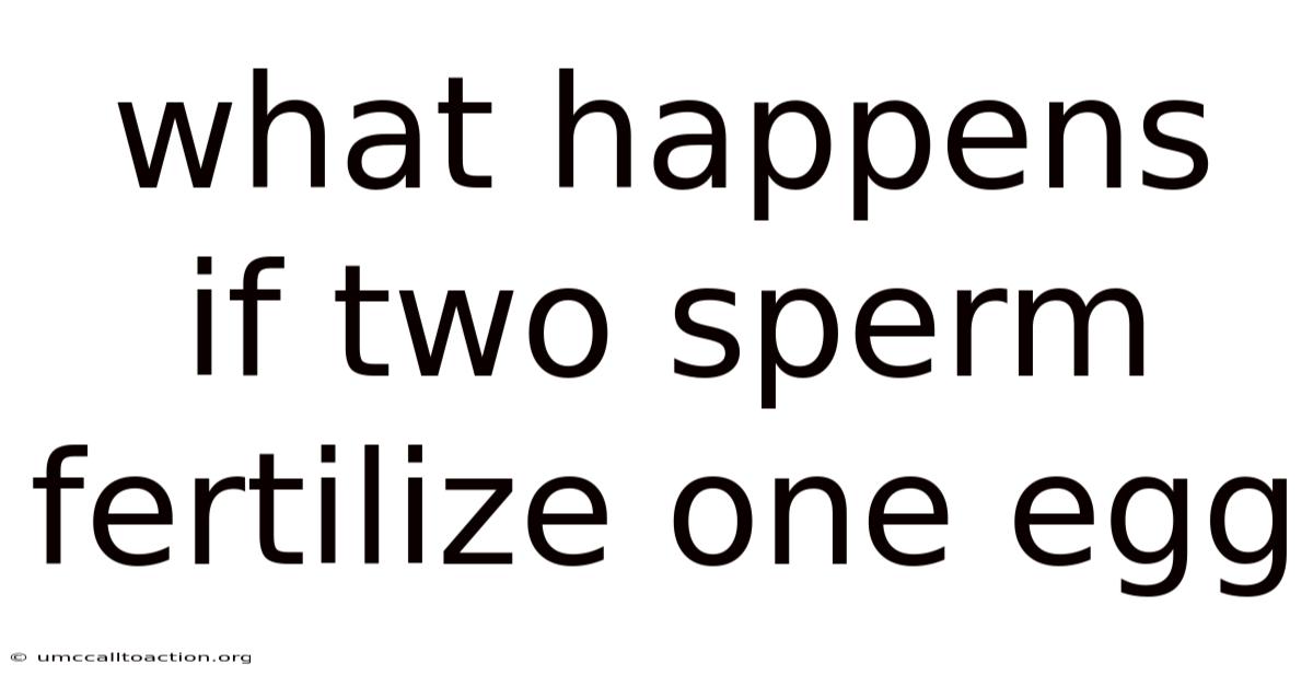 What Happens If Two Sperm Fertilize One Egg