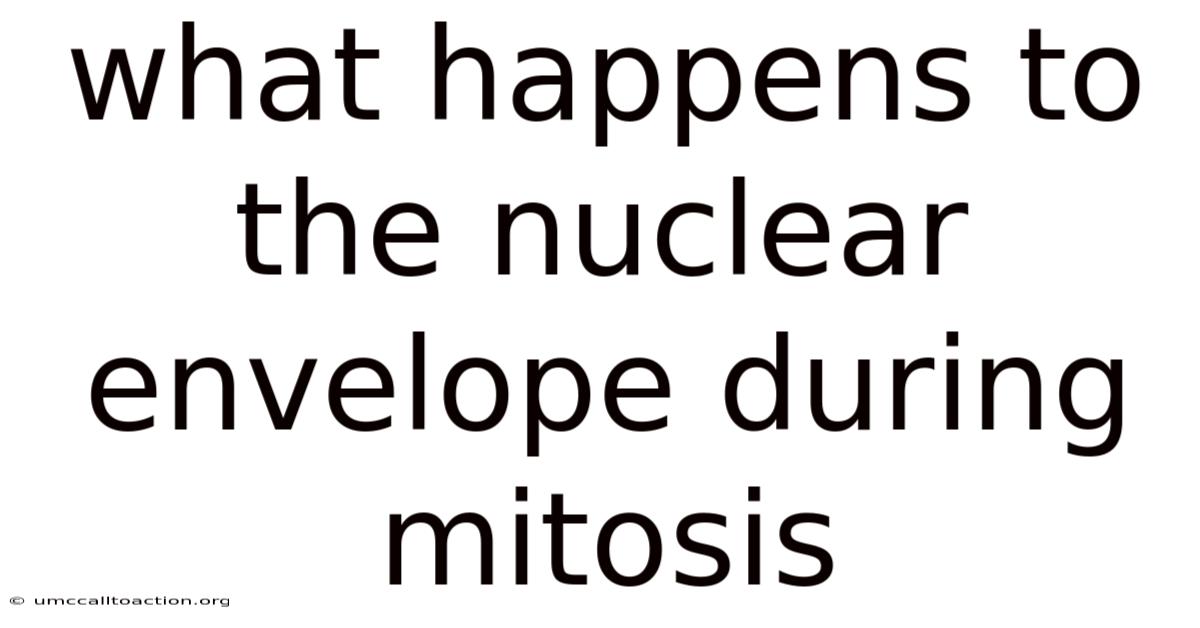 What Happens To The Nuclear Envelope During Mitosis