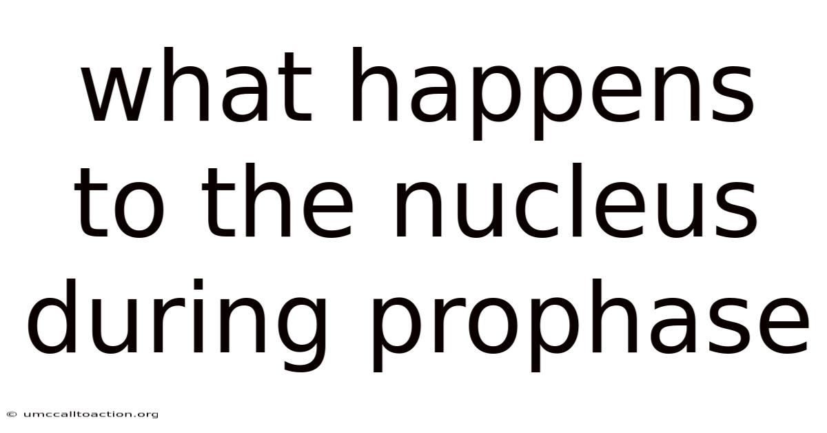What Happens To The Nucleus During Prophase