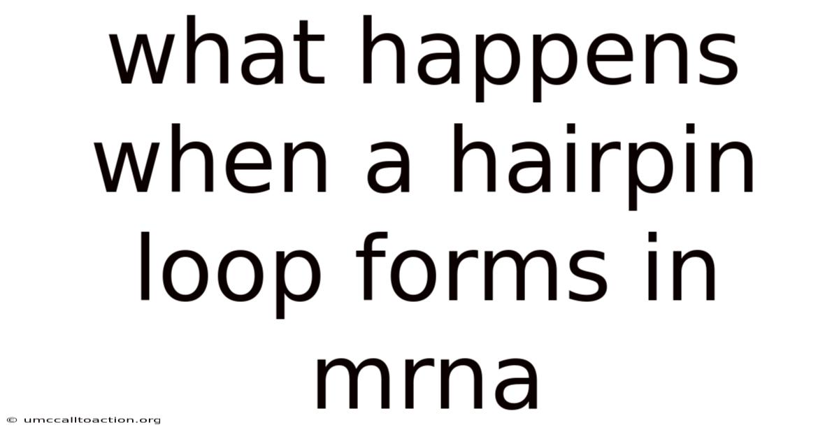 What Happens When A Hairpin Loop Forms In Mrna