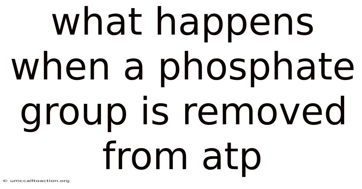 What Happens When A Phosphate Group Is Removed From Atp