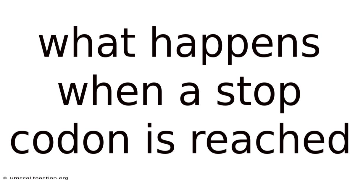 What Happens When A Stop Codon Is Reached