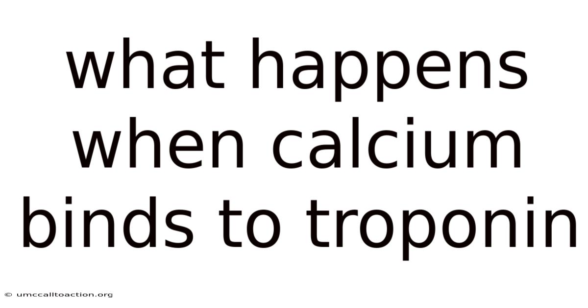 What Happens When Calcium Binds To Troponin