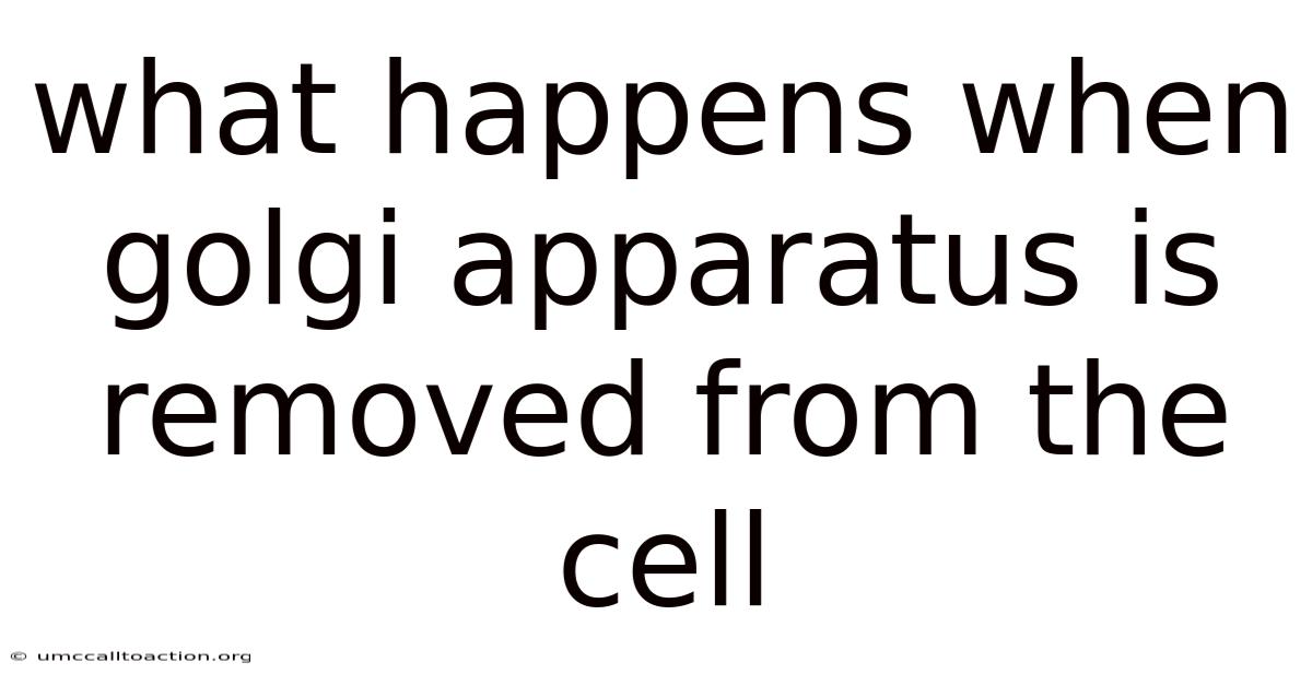 What Happens When Golgi Apparatus Is Removed From The Cell