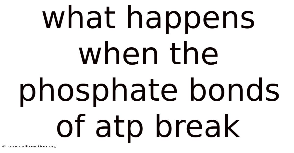 What Happens When The Phosphate Bonds Of Atp Break