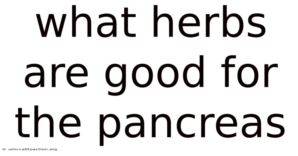 What Herbs Are Good For The Pancreas