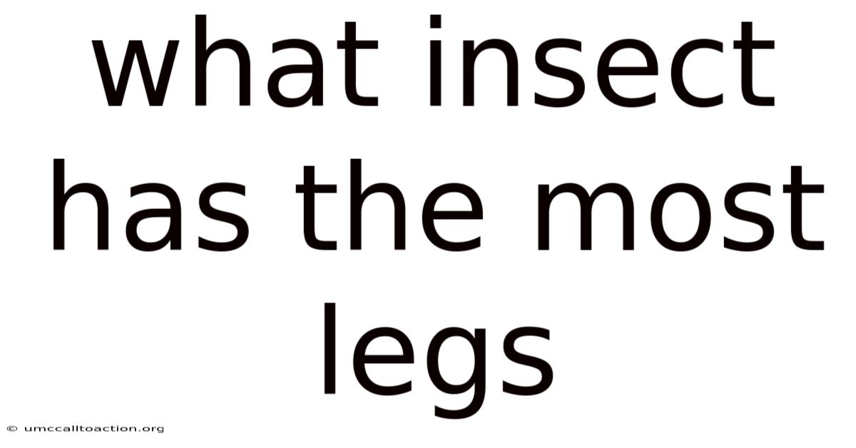 What Insect Has The Most Legs