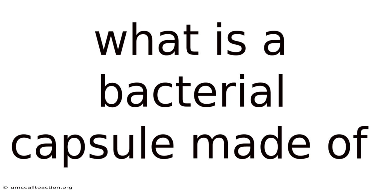What Is A Bacterial Capsule Made Of