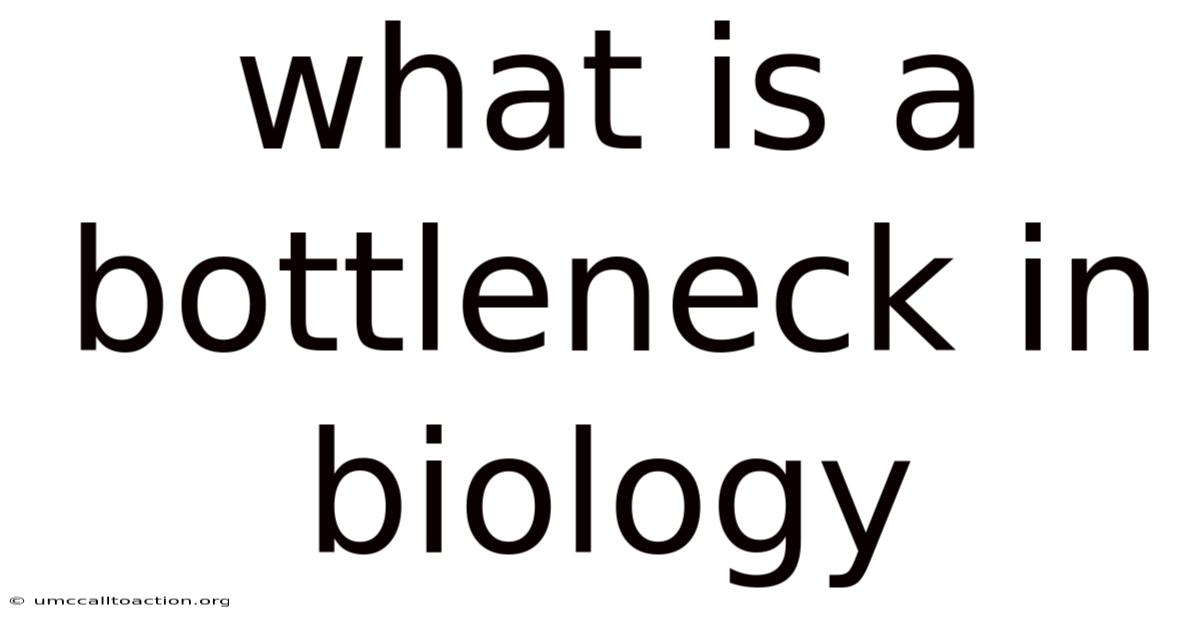 What Is A Bottleneck In Biology