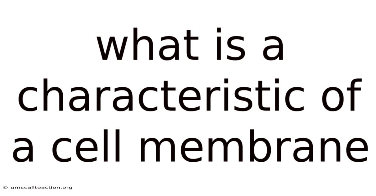 What Is A Characteristic Of A Cell Membrane