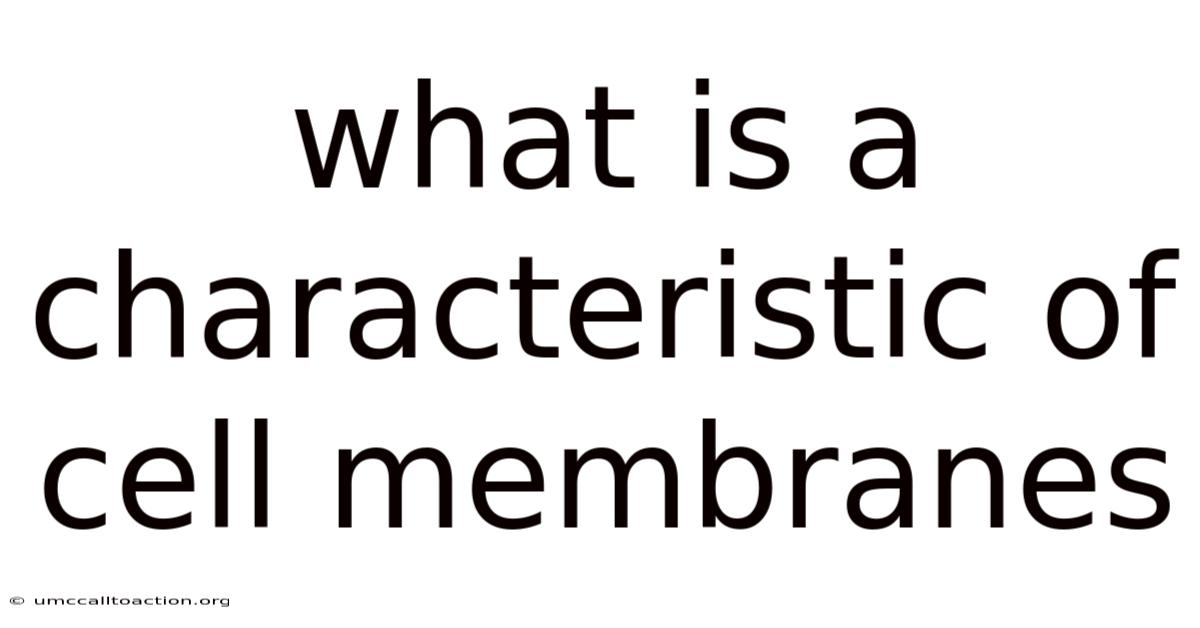 What Is A Characteristic Of Cell Membranes