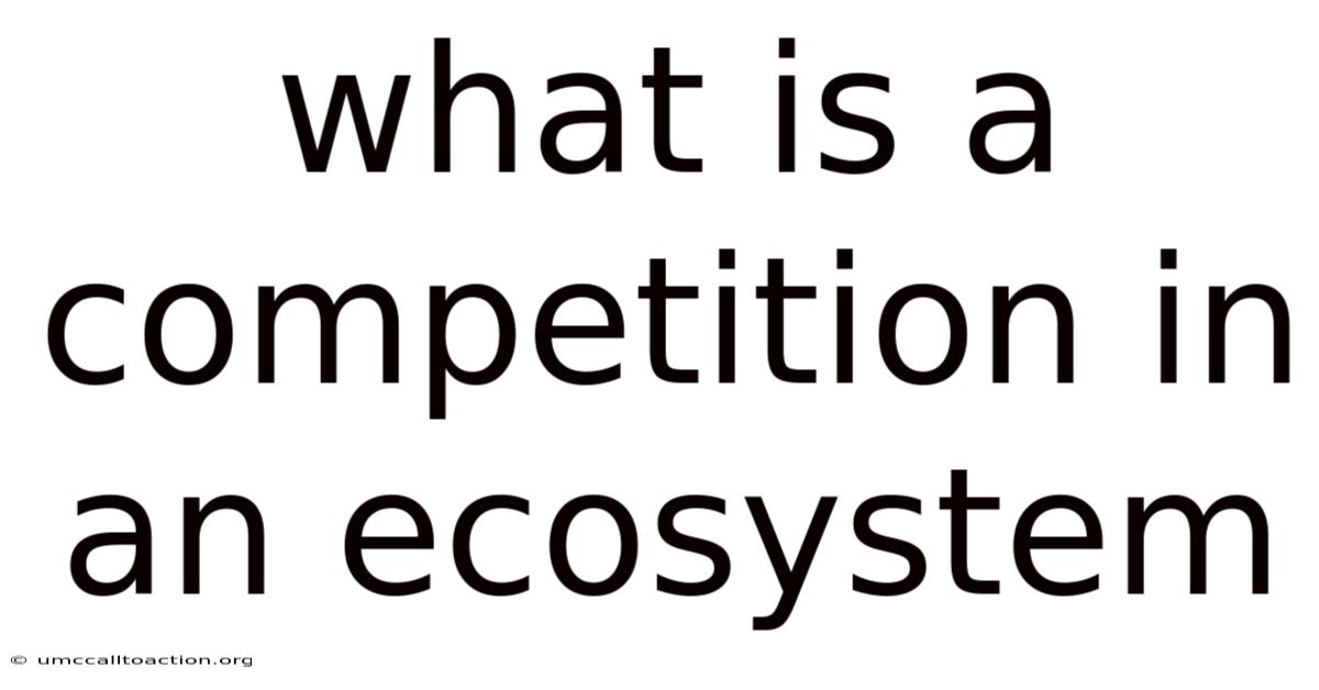 What Is A Competition In An Ecosystem