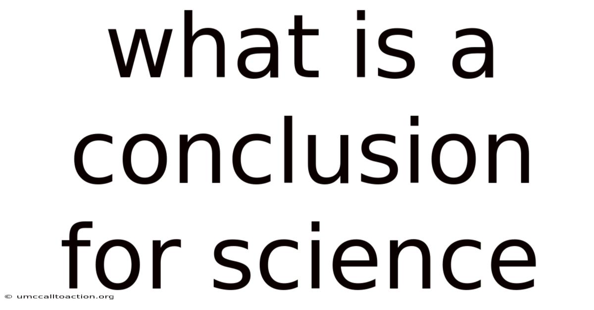 What Is A Conclusion For Science