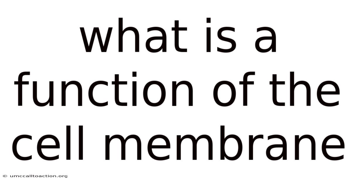 What Is A Function Of The Cell Membrane