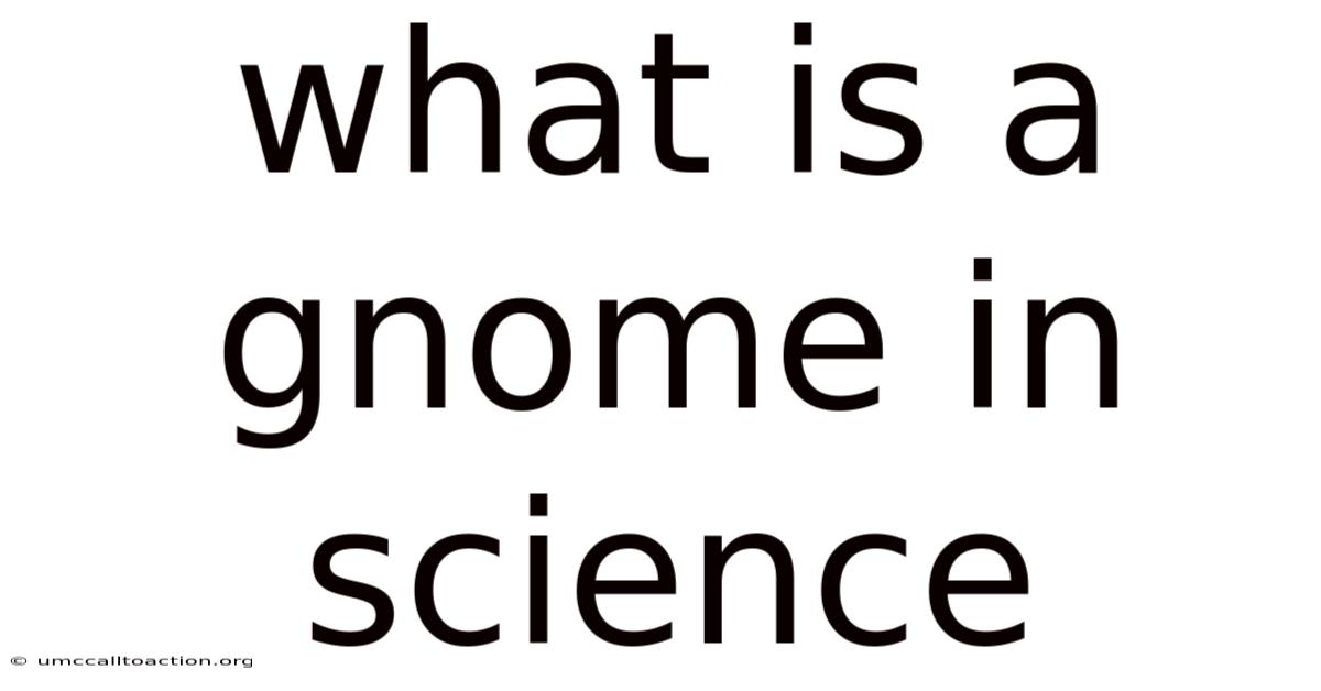 What Is A Gnome In Science