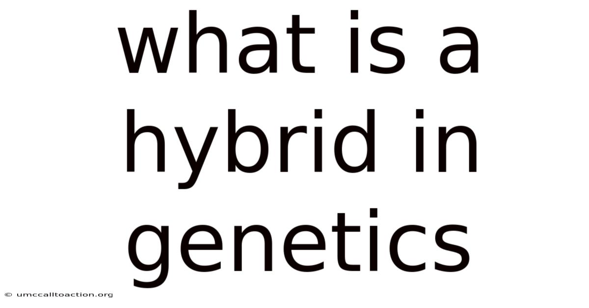 What Is A Hybrid In Genetics